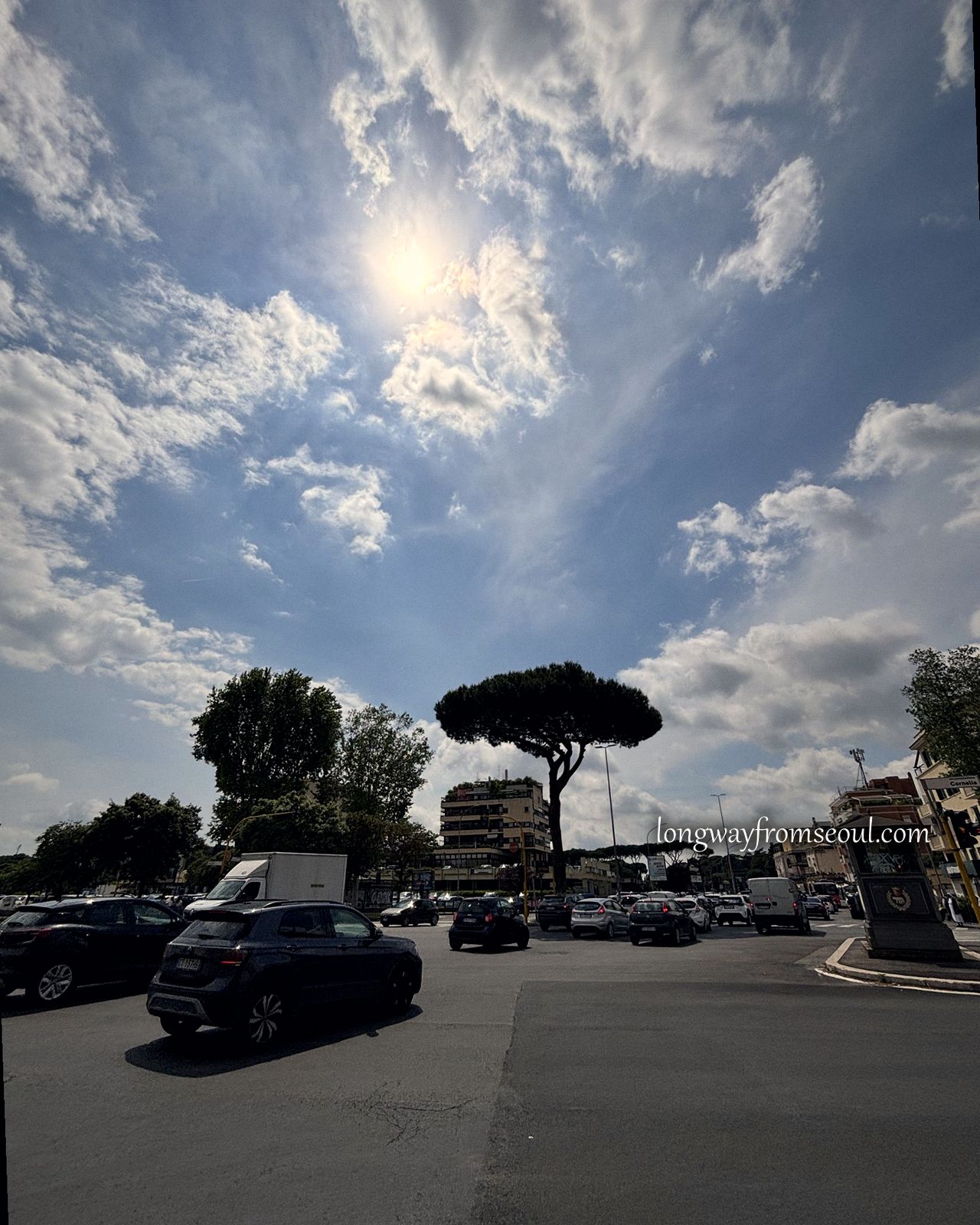Umbrella pines and a bright cloudy sky above a car park near Rome